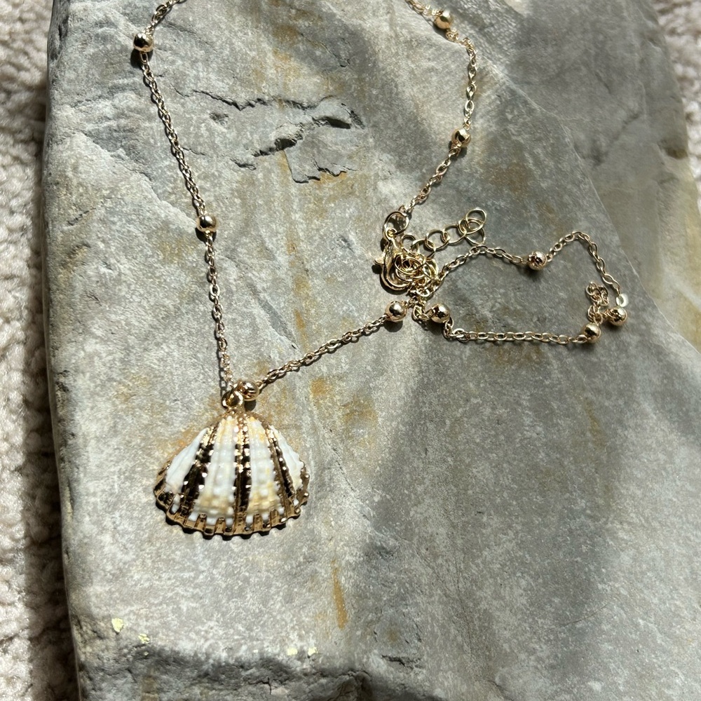 Natural Shell Pendant Necklace